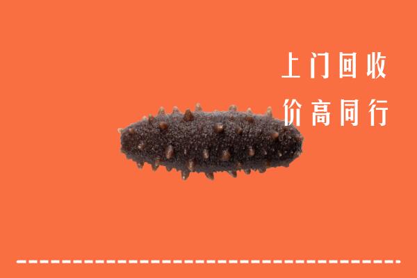 克孜勒苏高价回收海参